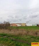 Foto6
