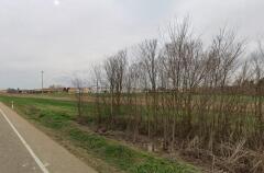 Foto3