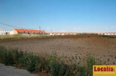 Foto5
