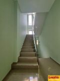 Foto8