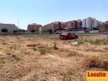 Foto8
