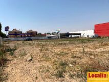 Foto5