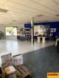 Foto9