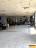 Foto2