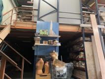 Foto15