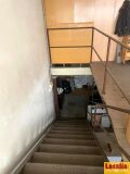 Foto8