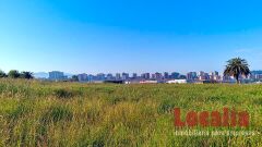 Foto6