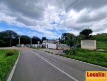 Foto4
