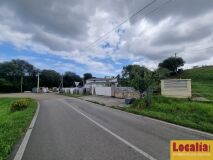 Foto8