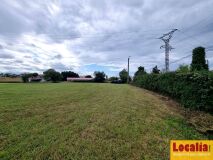 Foto9