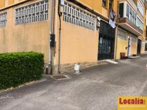 Foto1