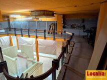 Foto8