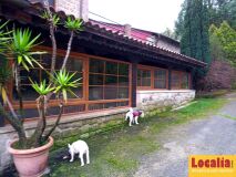 Foto15