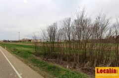 Foto3