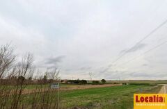 Foto1