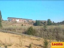 Foto5