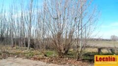 Foto6