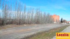 Foto5
