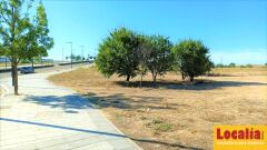Foto14