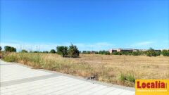 Foto7