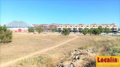 Foto3