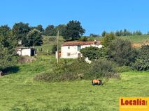 Foto3