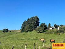 Foto5