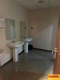Foto19