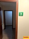 Foto14
