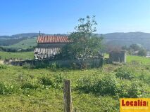Foto4