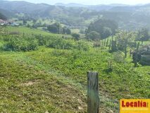 Foto11