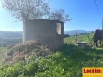 Foto14