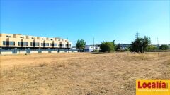 Foto6