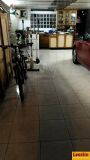 Foto31