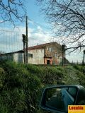 Foto3