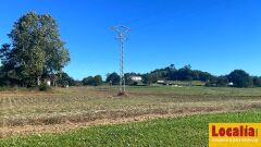 Foto11