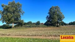 Foto10