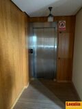 Foto8