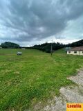 Foto42