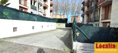 Foto8
