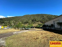 Foto9