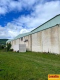 Foto6