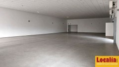 Foto6