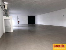 Foto5