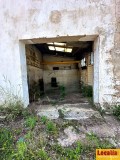 Foto19