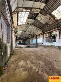Foto3