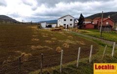 Foto2