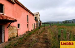 Foto8