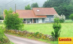 Foto1