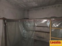 Foto5